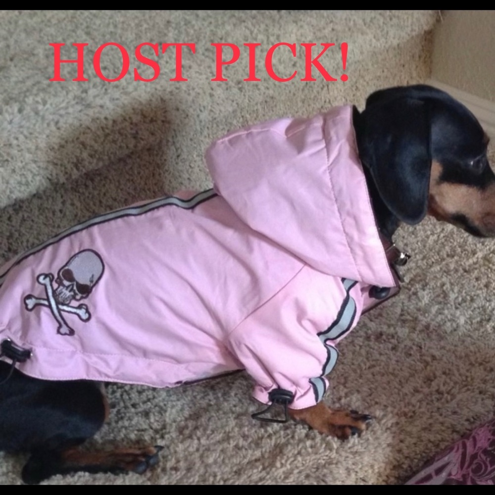 Hip Doggie Velcro closure jacket with hood Small